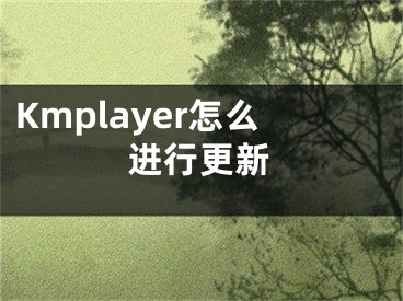 Kmplayer怎么进行更新