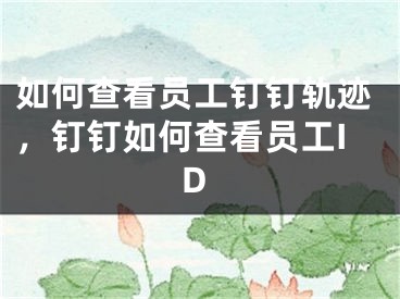 如何查看员工钉钉轨迹，钉钉如何查看员工ID