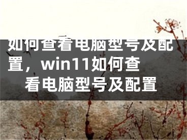 如何查看电脑型号及配置，win11如何查看电脑型号及配置