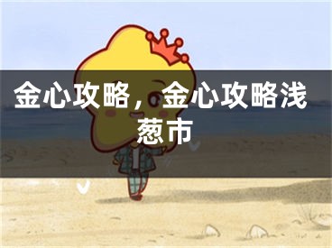 金心攻略，金心攻略浅葱市