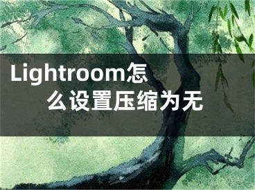 Lightroom怎么设置压缩为无