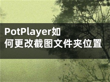 PotPlayer如何更改截图文件夹位置