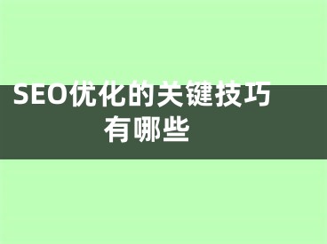 SEO优化的关键技巧有哪些  