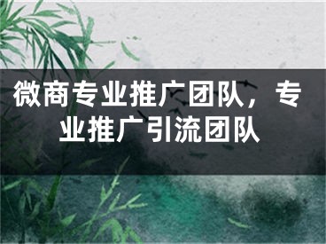 微商专业推广团队，专业推广引流团队