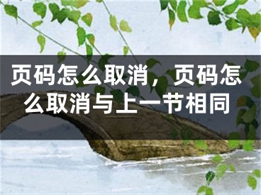 页码怎么取消，页码怎么取消与上一节相同