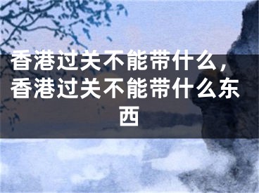 香港过关不能带什么，香港过关不能带什么东西