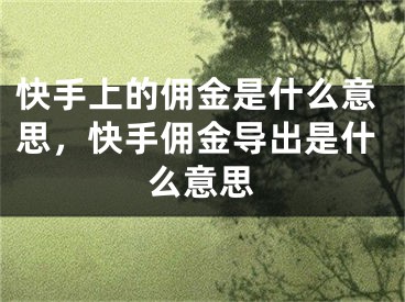 快手上的佣金是什么意思，快手佣金导出是什么意思