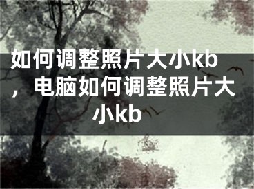 如何调整照片大小kb，电脑如何调整照片大小kb