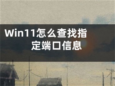 Win11怎么查找指定端口信息