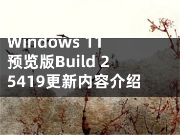 Windows 11预览版Build 25419更新内容介绍 