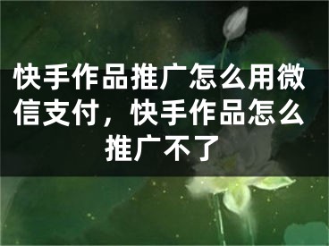 快手作品推广怎么用微信支付，快手作品怎么推广不了