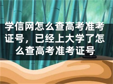 学信网怎么查高考准考证号，已经上大学了怎么查高考准考证号