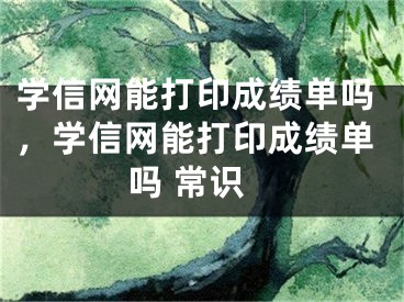 学信网能打印成绩单吗，学信网能打印成绩单吗 常识