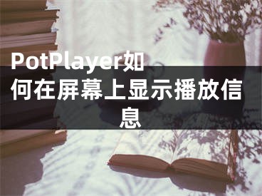 PotPlayer如何在屏幕上显示播放信息