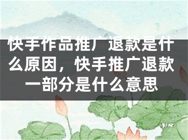 快手作品推广退款是什么原因，快手推广退款一部分是什么意思