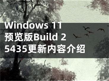 Windows 11预览版Build 25435更新内容介绍
