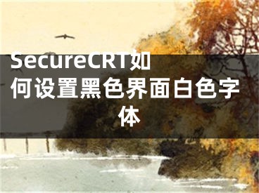 SecureCRT如何设置黑色界面白色字体