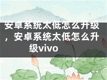 安卓系统太低怎么升级，安卓系统太低怎么升级vivo