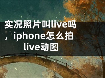 实况照片叫live吗，iphone怎么拍live动图