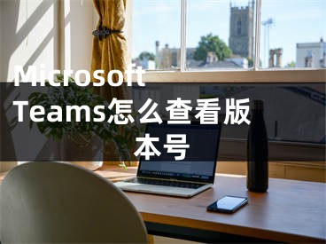 Microsoft Teams怎么查看版本号