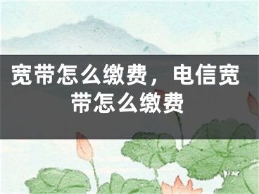 宽带怎么缴费，电信宽带怎么缴费