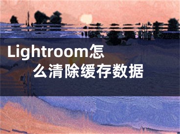 Lightroom怎么清除缓存数据
