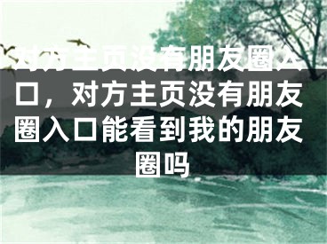 对方主页没有朋友圈入口，对方主页没有朋友圈入口能看到我的朋友圈吗