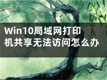 Win10局域网打印机共享无法访问怎么办