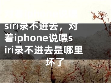 对着iphone说嘿siri录不进去，对着iphone说嘿siri录不进去是哪里坏了