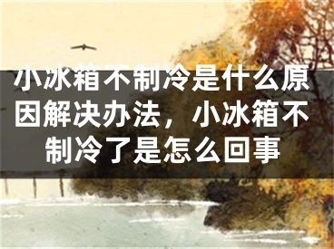 小冰箱不制冷是什么原因解决办法，小冰箱不制冷了是怎么回事