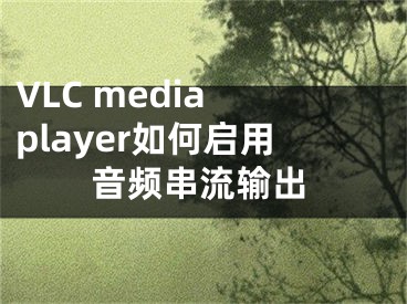 VLC media player如何启用音频串流输出