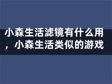 小森生活滤镜有什么用，小森生活类似的游戏