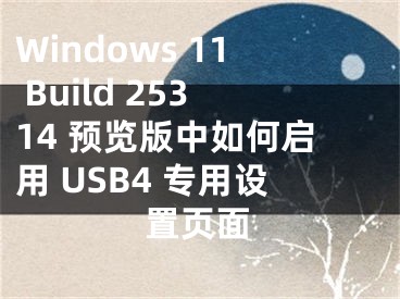 Windows 11 Build 25314 预览版中如何启用 USB4 专用设置页面
