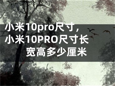 小米10pro尺寸，小米10PRO尺寸长宽高多少厘米