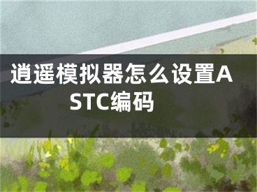 逍遥模拟器怎么设置ASTC编码