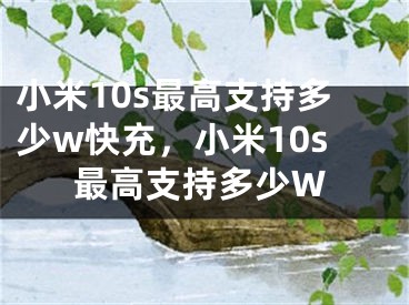 小米10s最高支持多少w快充，小米10s最高支持多少W