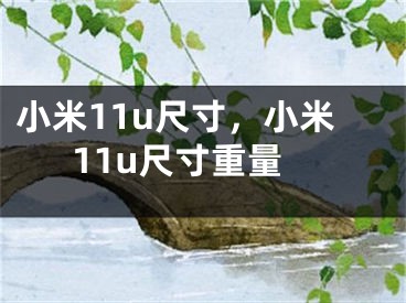 小米11u尺寸，小米11u尺寸重量