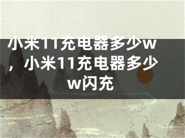 小米11充电器多少w，小米11充电器多少w闪充