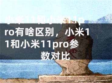 小米11和小米11pro有啥区别，小米11和小米11pro参数对比