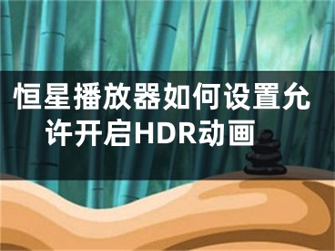 恒星播放器如何设置允许开启HDR动画