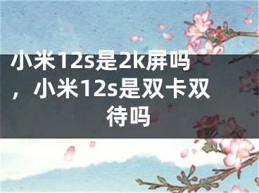 小米12s是2k屏吗，小米12s是双卡双待吗