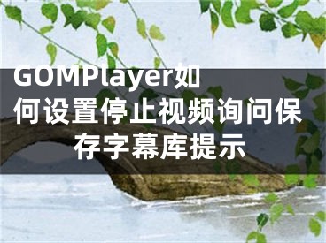 GOMPlayer如何设置停止视频询问保存字幕库提示