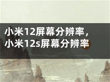 小米12屏幕分辨率，小米12s屏幕分辨率