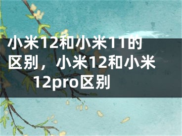 小米12和小米11的区别，小米12和小米12pro区别