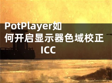 PotPlayer如何开启显示器色域校正ICC
