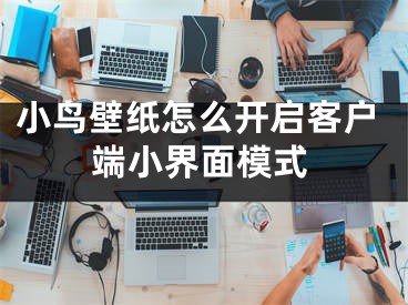 小鸟壁纸怎么开启客户端小界面模式 