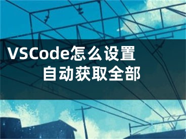 VSCode怎么设置自动获取全部