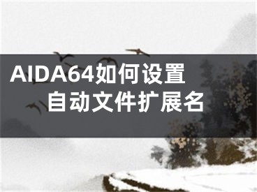 AIDA64如何设置自动文件扩展名