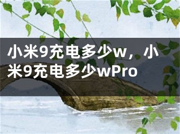 小米9充电多少w，小米9充电多少wPro