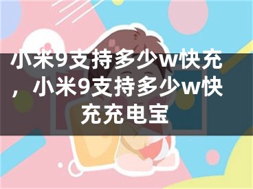 小米9支持多少w快充，小米9支持多少w快充充电宝